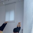 오다요가