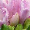 마음의 산책3 이미지