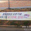 태안별빛오토캠핑장 이미지