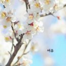 행복한아침 - 아산시 문화로 301-21 | 행복한아침