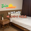 예그리나 | 제주여행 내돈내산 김녕해수욕장 제주예그리나리조트 후기