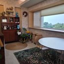 스테이 도토리 이미지