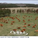 제동농장 이미지