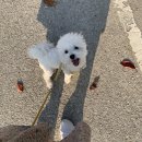 아이조아요양보호소 동탄점 이미지