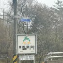 파밀리아 펜션 | [평창 파밀리아펜션] 2024년 리모델링된 바베큐 수영장 이용 가능한 산림펜션 생생후기