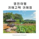 영천 귀애정 | 영천 날씨 좋은 날 귀애고택 연꽃 가득한 귀애정