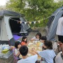 천안밤나무골가족사랑캠핑장 | 천안 밤나무골 캠핑장 가을캠핑, 밤줍기체험, A1,A2,A3사이트