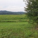 금성농협 가음지점 이미지