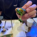 이흥선참치부산본점 | [대라참치] 부산 강서구 맛집 신선한 참치, 대라참치 방문 후기!