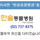 통일로 동물병원 이미지