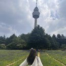 방방곡곡모빌리티 | 대구렌트카 투루카 대구갈만한곳 여행코스