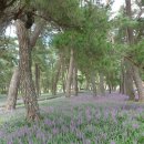 상오방2 이미지