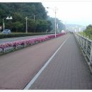 50개천예술제(50 이미지