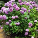 통영등대낚시공원 이미지