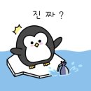 안면도위드유 이미지