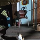 전주첨성대한증막 | [전북/완주]용진읍에 위치한 뜨끈뜨끈 쌓인 피로를 타파할 수 있는 '첨성대 한증막' 방문후기