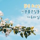 화요일 이미지