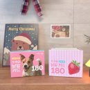 북12 | 아이키움북 한글낱말카드 후기｜12가지 주제 낱말카드 180장 말놀이