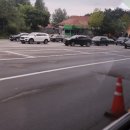 통일애견 이미지