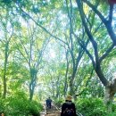 상도근린공원 이미지