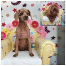 웅남동225 이미지