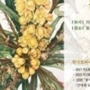 식물가 이미지