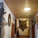 앵두여인숙 이미지