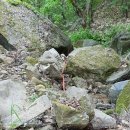 소초농장 이미지