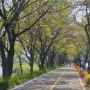 나주종합스포츠파크 건너편 이미지