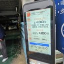 네이처기프트 | 대구 근교 가창 네이처파크 방문 후기