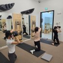 라인필라테스 영남대점 | 영남필라테스 라인필라테스 영남대점 4:1과 7:1 수업의 매력을 동시에 느낀 찐 후기