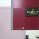 라인@ | 강남눈썹반영구문신 자연스러운 결과 펌킨라인 후기