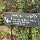 산당화가 피는집 이미지