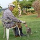 잔디 농장 이미지