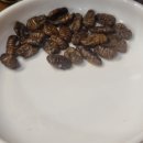 불구이돈 이미지