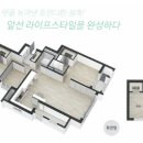 알파대구