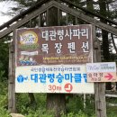 대관령 사파리 목장 이미지