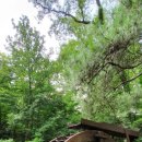 나훈아노래방 이미지