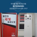 용인대 새빛 태권도장 이미지