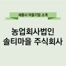 법인솔티 이미지