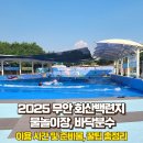 복룡리 화장실 | 2025 무안 회산백련지 물놀이장, 바닥분수 이용 시간 및 준비물, 꿀팁 총정리