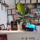 미테라피 이미지