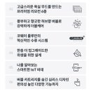 비데케어 네이버블로그