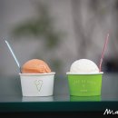 푸드포커스(food focus) 이미지