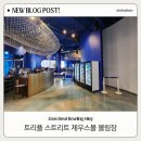제우스 | 송도 핫플! 트리플스트리트 제우스볼 볼링장 가족 후기