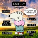 chill guy? 테스트? 이미지