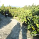 세훈농장 이미지