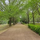 힐링산행과 문화탐방 주말반 | 선운산도립공원 도솔산 최단코스(선운산생태숲 - 석상암 - 수리봉(정상) - 포갠바위 - 선운사) 탐방후기