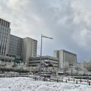 안서농장 이미지