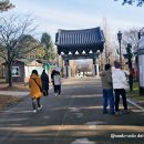 다향울림 | 경기도 여주 가볼만한곳 신륵사 사찰 절 여행으로 만나는 남한강 풍경